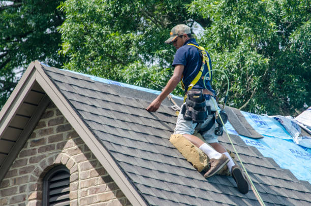 Roof Waterproofing Services in Livingston, TX